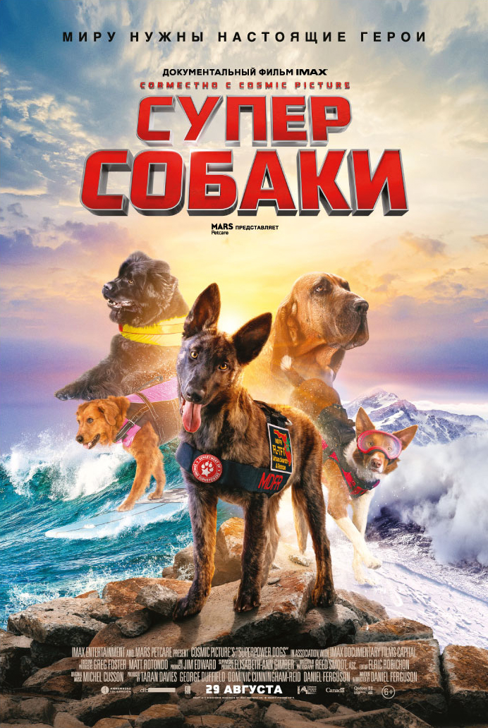 Корпорация IMAX покажет документальный фильм о собаках-спасателях в формате IMAX® 3D
