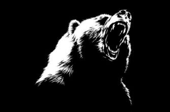 Представлен моушен-постер триллера «Кокаиновый медведь»