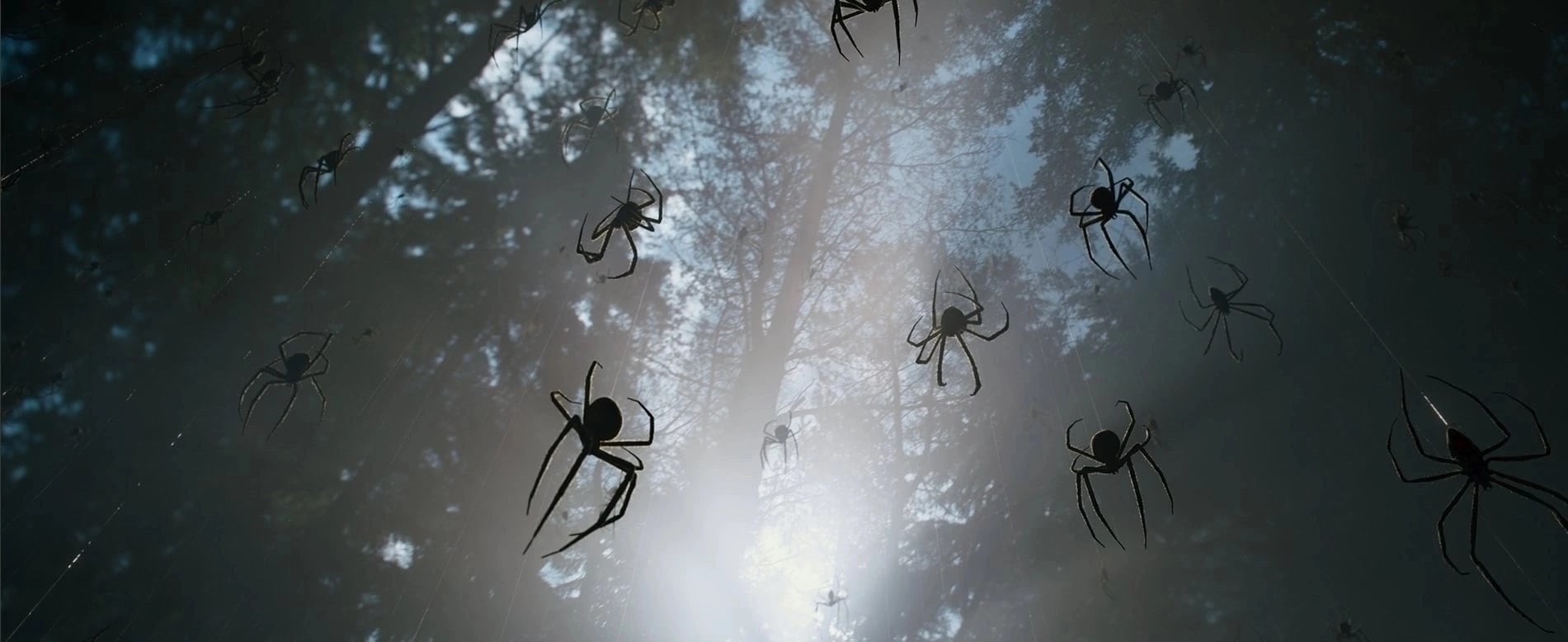 Новый Человек-паук? Вышел трейлер фильма «Крэйвен-охотник» Новый Человек-паук? Вышел трейлер фильма «Крэйвен-охотник»