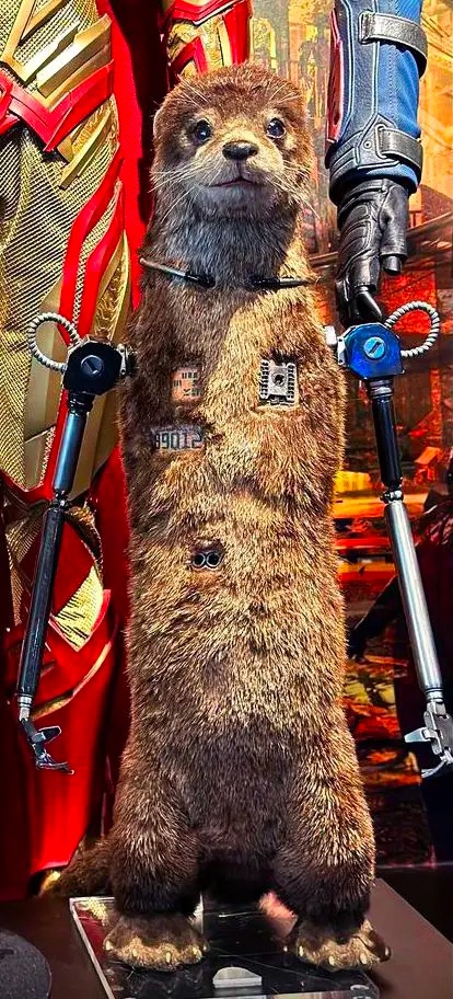 Лайла из «Стражей галактики 3» показана в реальной жизни Лайла из «Стражей галактики 3» показана в реальной жизни