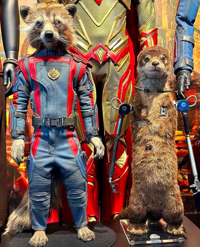 Лайла из «Стражей галактики 3» показана в реальной жизни Лайла из «Стражей галактики 3» показана в реальной жизни