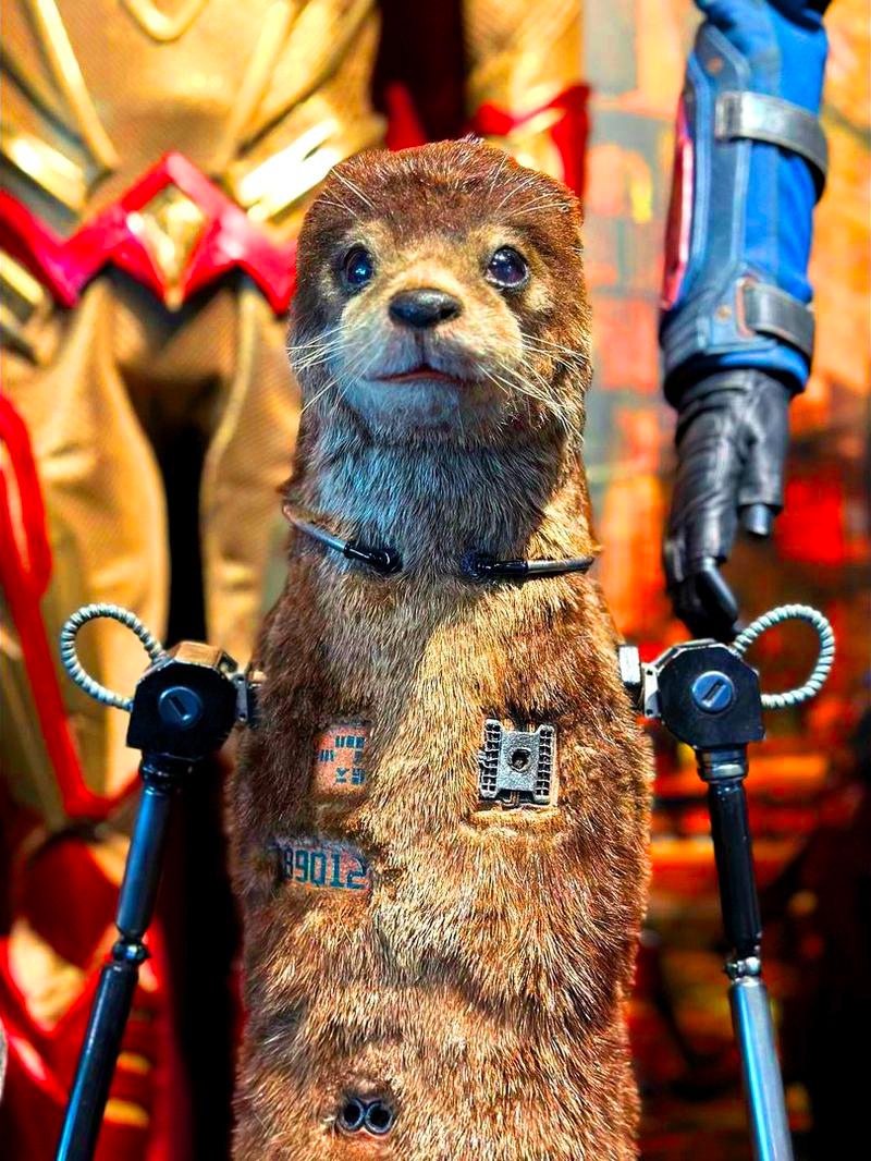 Лайла из «Стражей галактики 3» показана в реальной жизни Лайла из «Стражей галактики 3» показана в реальной жизни