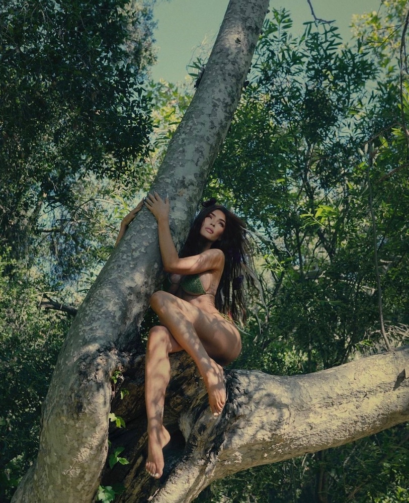 Покинувшая «Трансформеры» Меган Фокс снялась в сексуальной фотосессии в одном лишь купальнике Покинувшая «Трансформеры» Меган Фокс снялась в сексуальной фотосессии в одном лишь купальнике