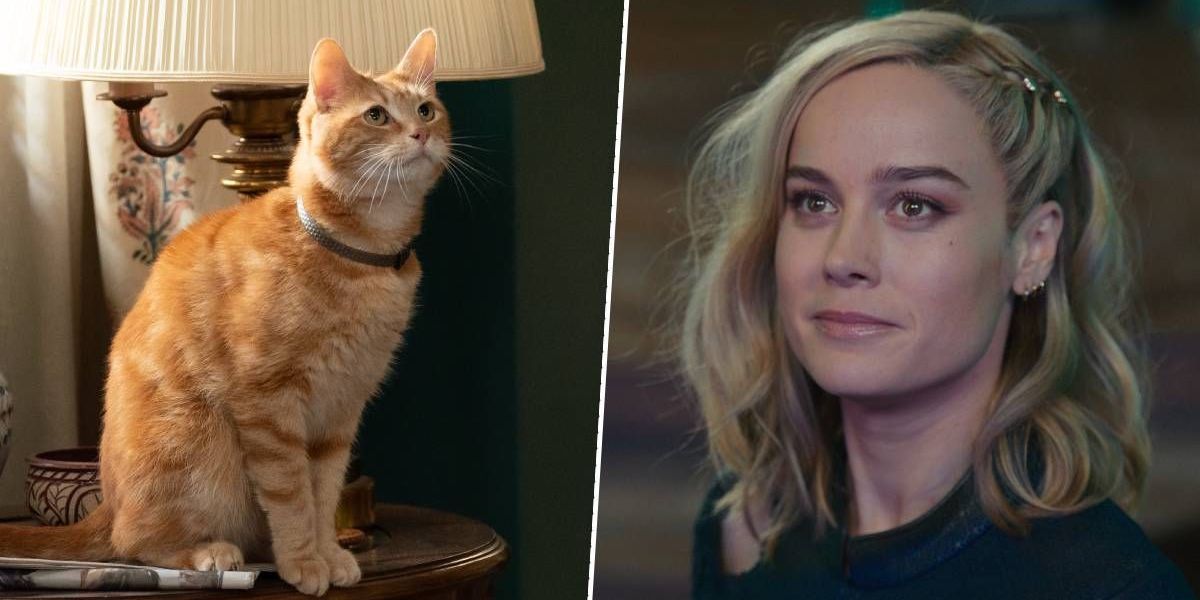 Коты заменили Бри Ларсон: новый трейлер «Капитана Марвел 2»