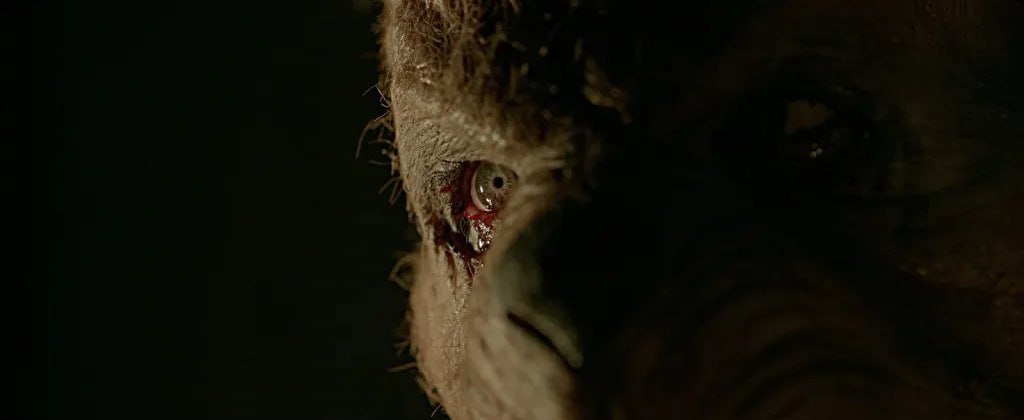 Ужасный Пух и запуганный Кристофер Робин на новых кадрах фильма «Винни-Пух: Кровь и мед 2»