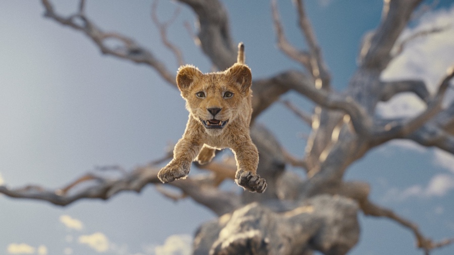 Новый кадр фильма «Муфаса: Король Лев» подтвердил выход трейлера
