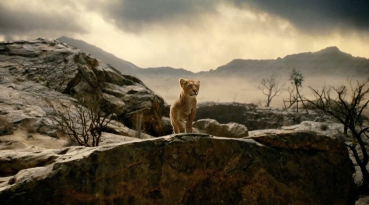 Первый кадр фильма «Муфаса: Король лев» и новый взгляд на «Моану 2»