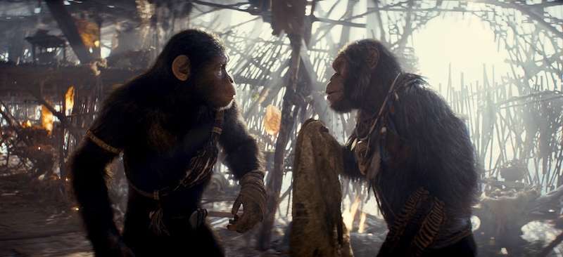 Эволюция, но назад: короткое мнение о фильме «Планета обезьян 4: Новое царство»