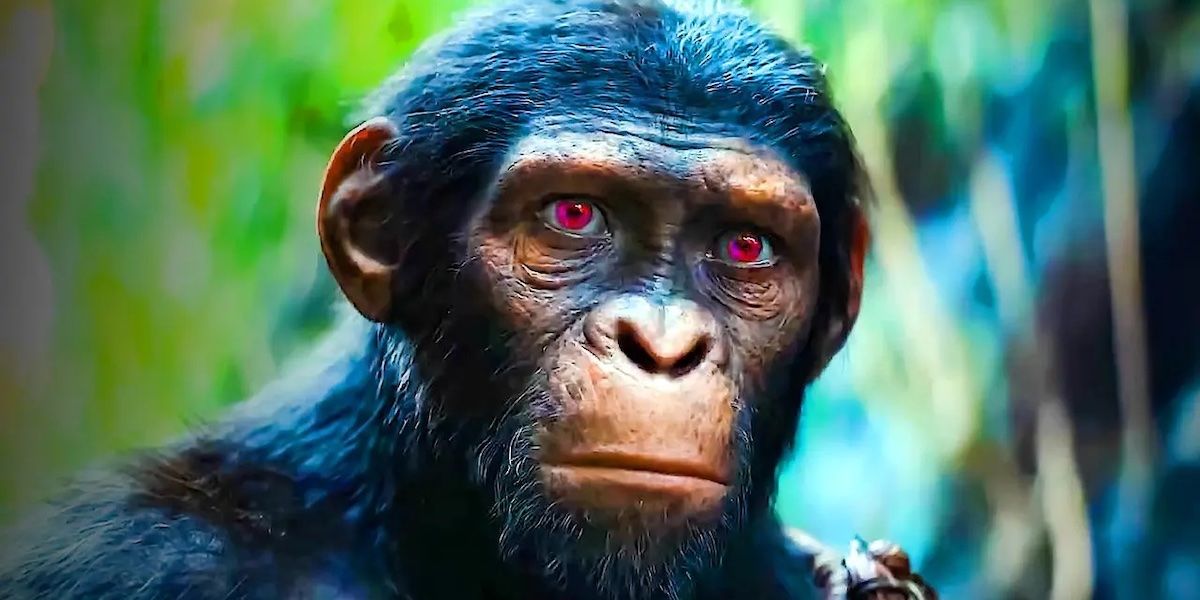 Сборы фильма «Планета обезьян 4: Новое царство» оказались на уровне прошлой трилогии