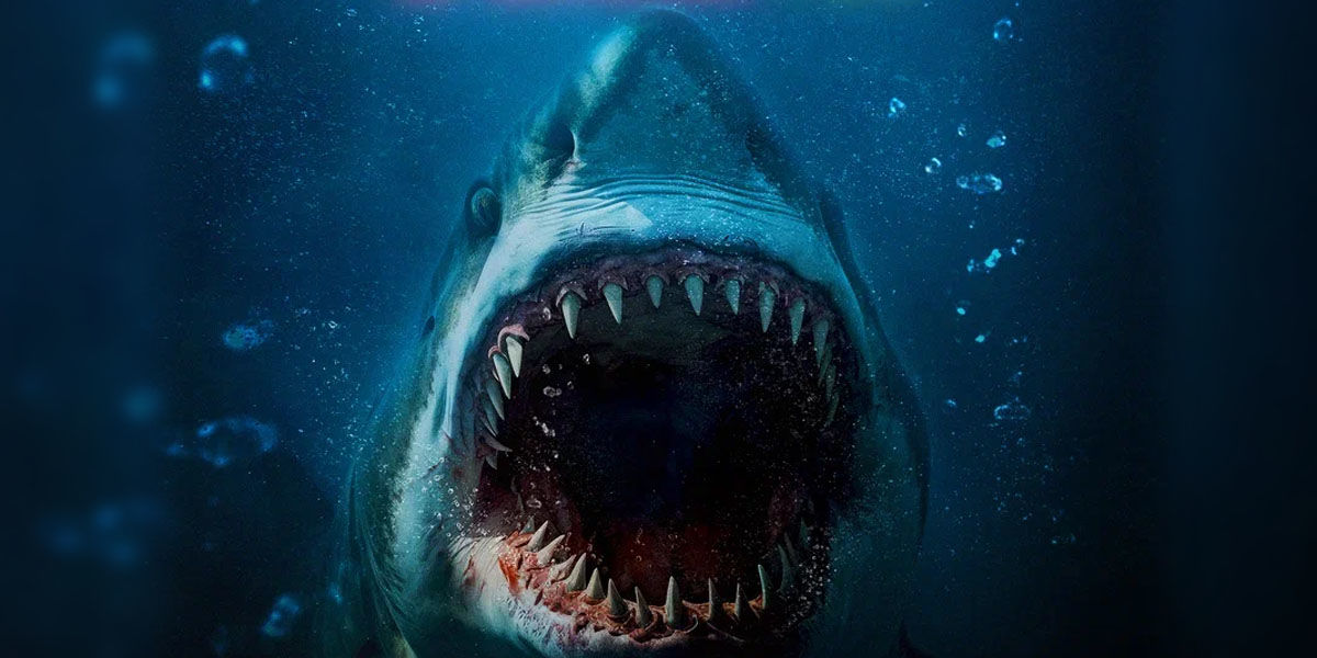 Новые «Челюсти»: вышел трейлер фильма «Кровавый риф» про акулу-убийцу